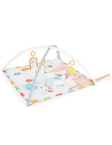 Активна гимнастика Cozy