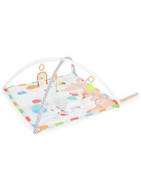 Активна гимнастика Cozy