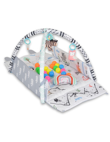 Активна гимнастика Rabit JL658-1A