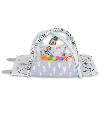 Активна гимнастика Rabit JL658-1A