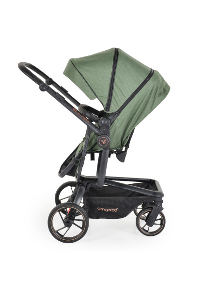 Комбинирана детска количка Ellada 2в1 зелен