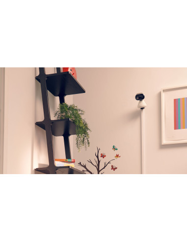 Motorola PIP1000 IP камера