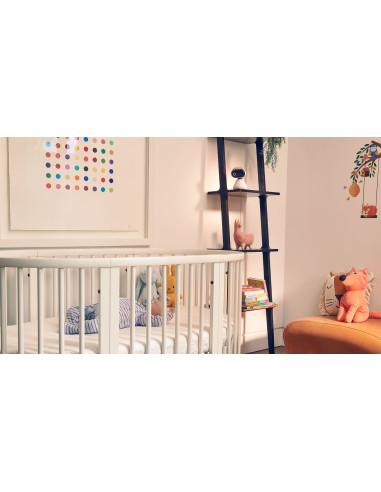 Motorola PIP1000 IP камера