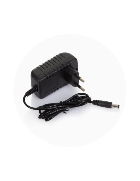 Eлектрическа кола "Полиция" черна