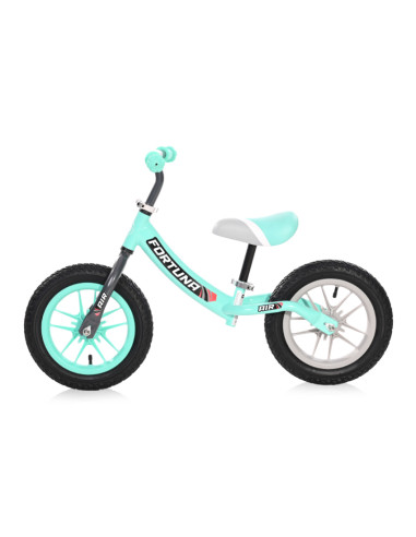 БАЛАНС КОЛЕЛО FORTUNA AIR СВЕТЕЩИ GREY&GREEN