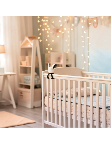 Motorola PIP1710 connect видео бебефон с Wi-Fi