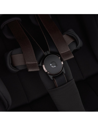 Anex-бебешка количка 2в1 FLO Browny 2025