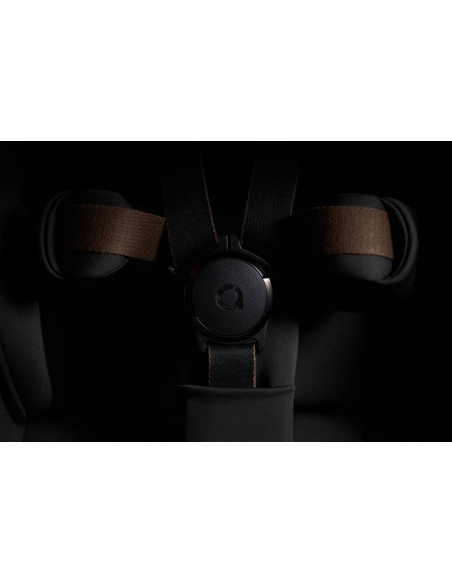 Anex-бебешка количка 2в1 FLO Browny 2025