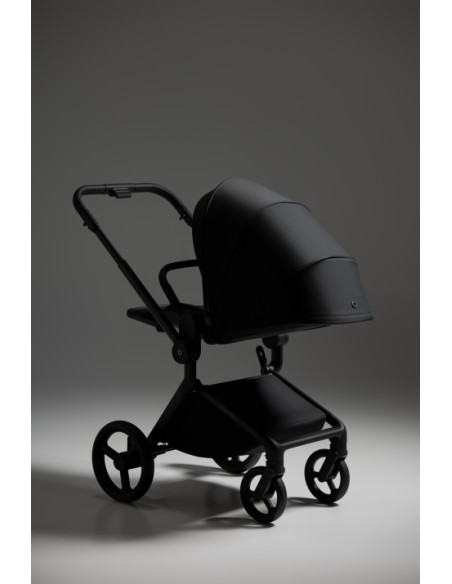 Anex-бебешка количка 2в1 FLO Browny 2025