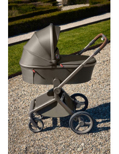 Anex-бебешка количка 2в1 FLO 1 Special Edition