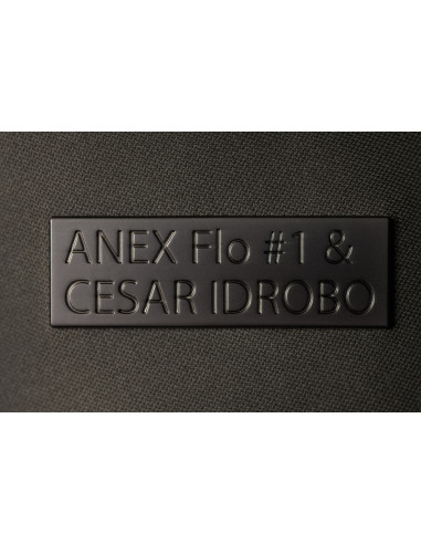 Anex-бебешка количка 2в1 FLO 1 Special Edition