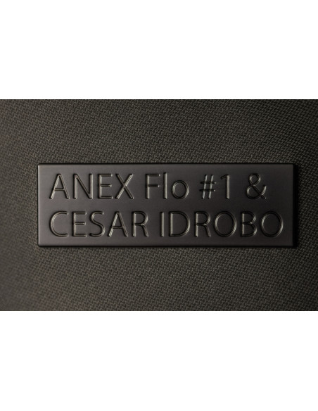 Anex-бебешка количка 2в1 FLO 1 Special Edition