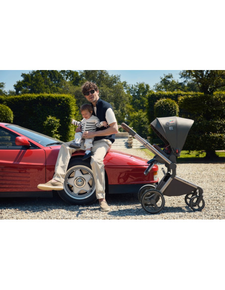 Anex-бебешка количка 2в1 FLO 1 Special Edition