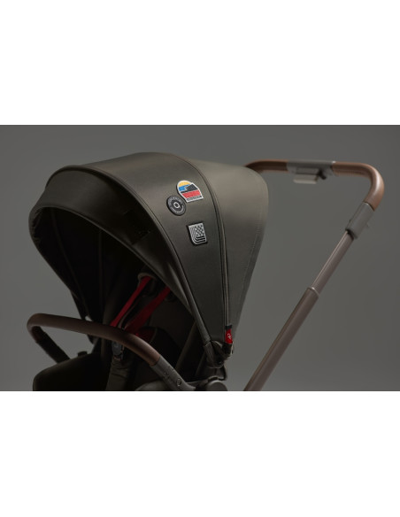 Anex-бебешка количка 2в1 FLO 1 Special Edition