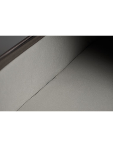 Anex-бебешка количка 2в1 FLO 1 Special Edition