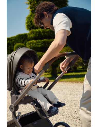 Anex-бебешка количка 2в1 FLO 1 Special Edition