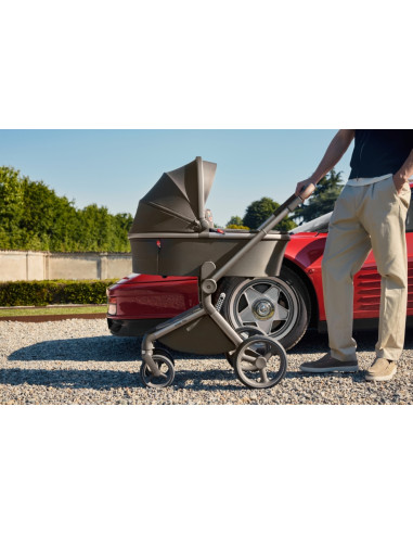 Anex-бебешка количка 2в1 FLO 1 Special Edition