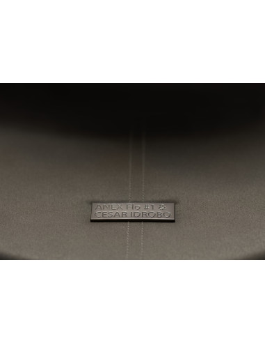 Anex-бебешка количка 2в1 FLO 1 Special Edition