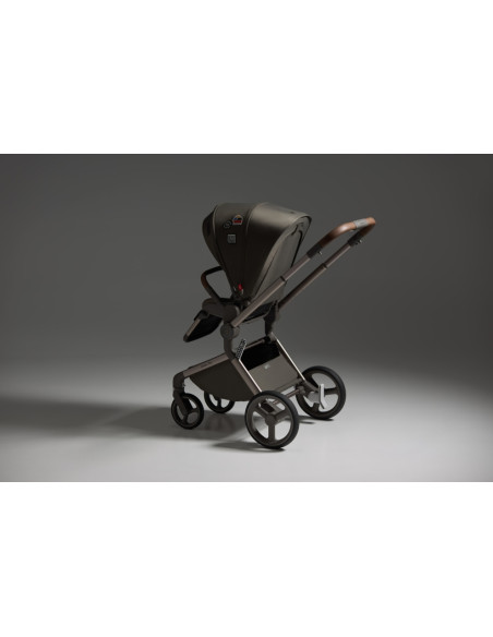 Anex-бебешка количка 2в1 FLO 1 Special Edition