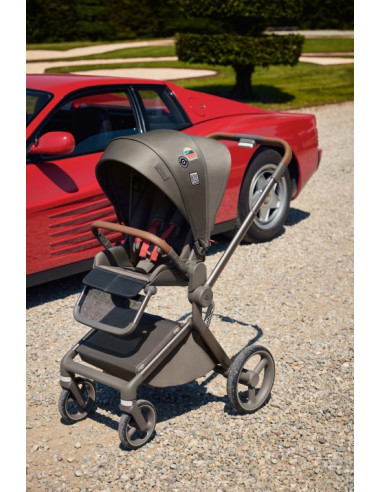 Anex-бебешка количка 2в1 FLO 1 Special Edition