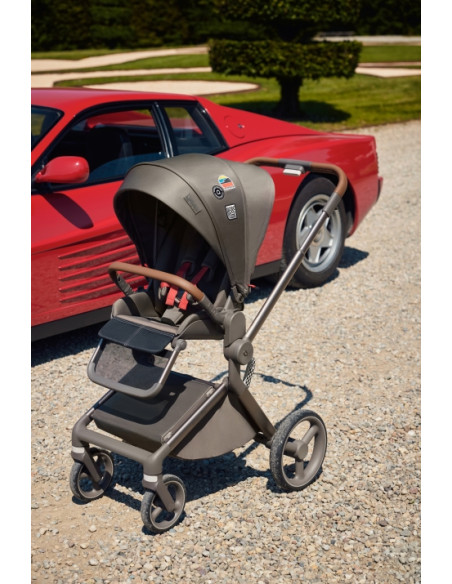 Anex-бебешка количка 2в1 FLO 1 Special Edition