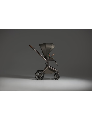 Anex-бебешка количка 2в1 FLO 1 Special Edition