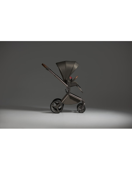 Anex-бебешка количка 2в1 FLO 1 Special Edition