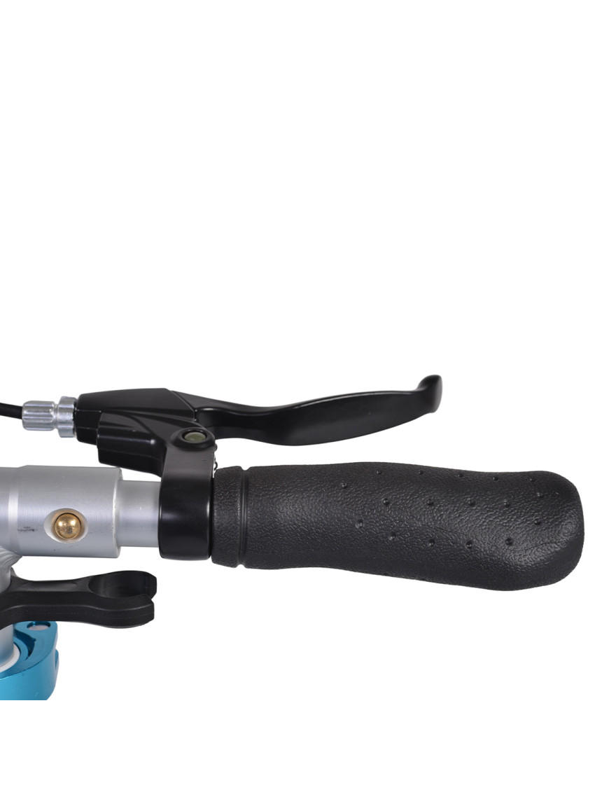 Тротинетка Fiore син