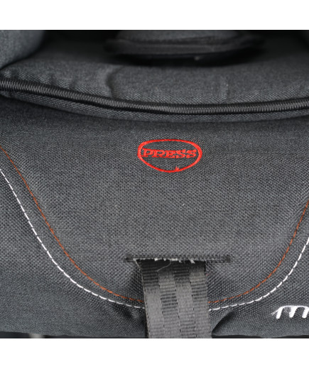 Комбинирана детска количка Alma черен