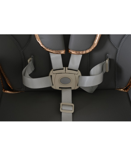 Детски стол за хранене с подарък Lindo сив